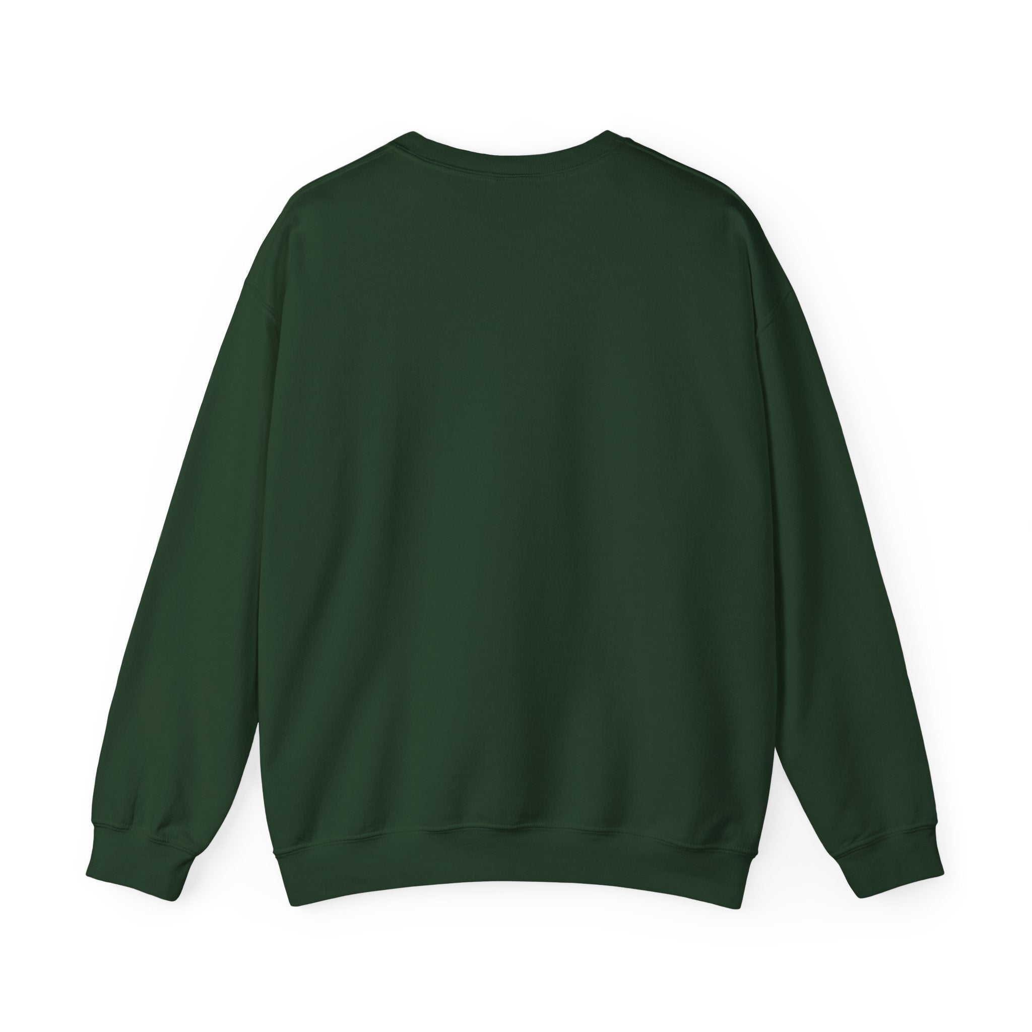 Bad Girls Have More Fun Crewneck Sweatshirt, Fun Sweatshirt for Women, Graphic Sweatshirt, Trendy Casual Wear, Unique Gift Idea, [...]